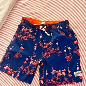 GAILANG Shorts Men SIZE 37 Blue Wavefarer Taco Swim Nylon Quick Dry Pockets